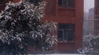 下载视频: 雪终于是下到了南京~