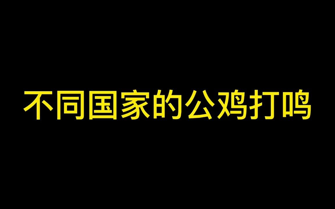 不同国家的鸡打鸣,中国大公鸡声音响亮,日本大公鸡笑声很魔性!哔哩哔哩bilibili