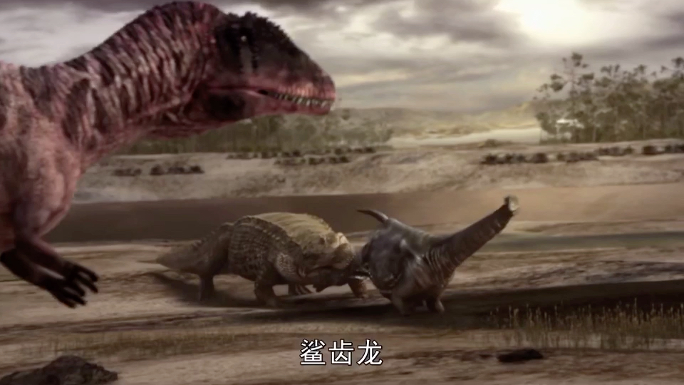 鲨齿龙抢食帝鳄