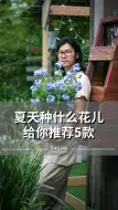 Tải video: 给大家推荐5款夏季开得很好的花儿，有你中意的吗？