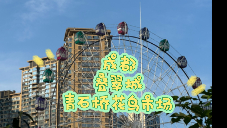 成都叠翠城青石桥花鸟市场,闲来无事逛了花鸟市场,有想要m宠物的可以