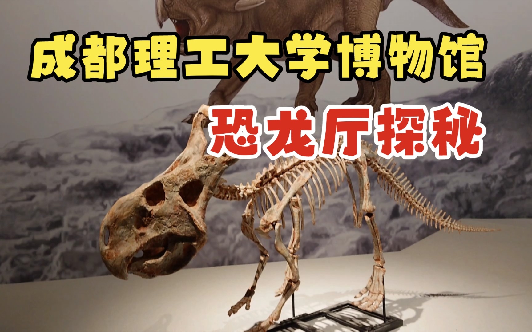 探秘成都理工大学博物馆(成都自然博物馆)恐龙厅04