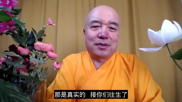 谛深大师开示:往生极乐的境,临命终时有几种境不能着哔哩哔哩bilibili