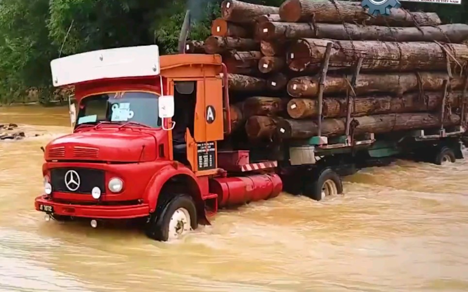 极度危险的原木运输卡车