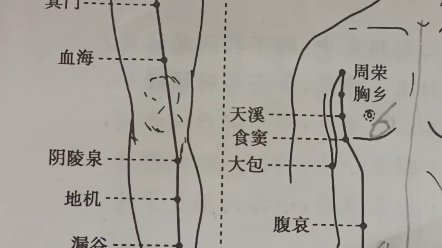 [图]足太阴脾经穴位分寸歌（粤语）