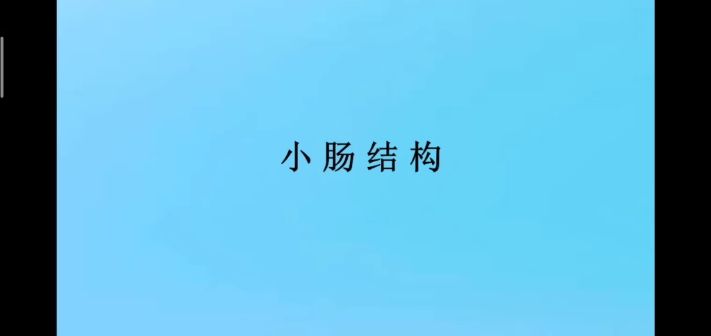 小肠结构哔哩哔哩bilibili