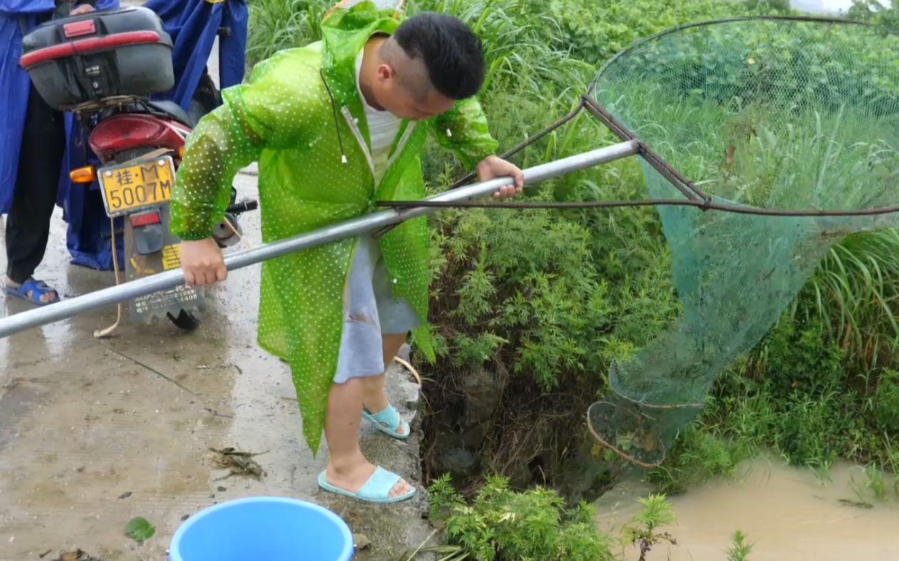 这样子网鱼大家都有体验过吗?我相信农村人会懂的,太刺激了
