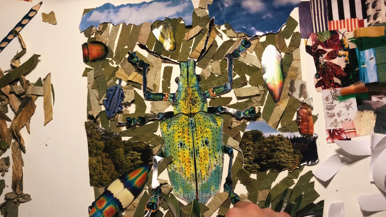 杂志剪贴 | 色彩拼贴