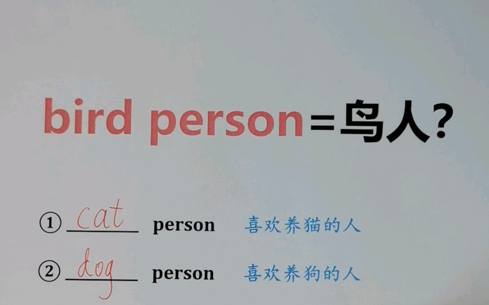 [图]bird person = 鸟人？