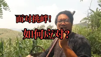 Download Video: 面对挑衅！如何应对？