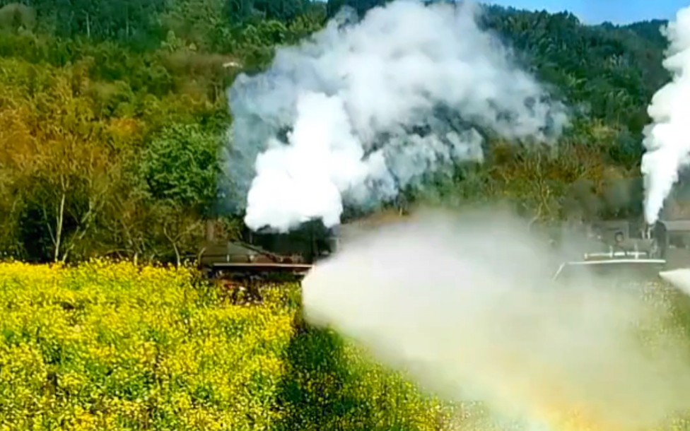 嘉阳小火车穿梭在油菜花丛中,喷出的水雾瞬间形成一道彩虹桥,风景美如画哔哩哔哩bilibili