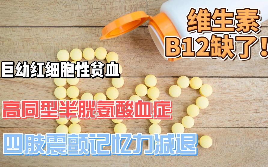 维生素B12缺乏了哔哩哔哩bilibili