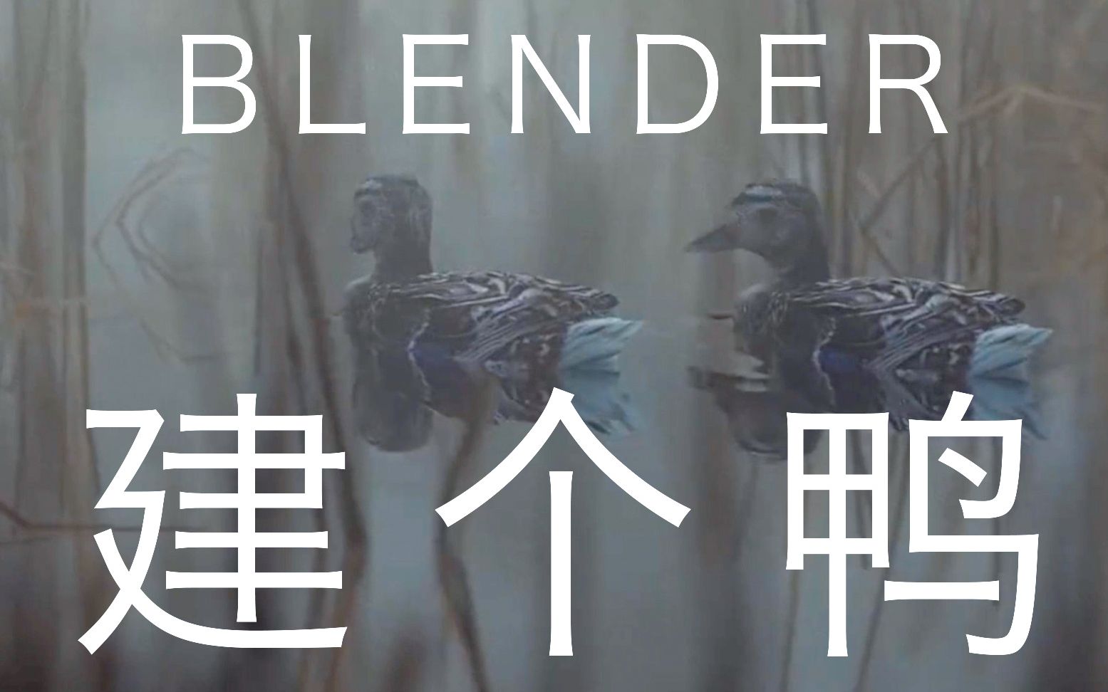 【Blender懒人教程+中文字幕】一分钟来一起建个鸭!+动画制作哔哩哔哩bilibili