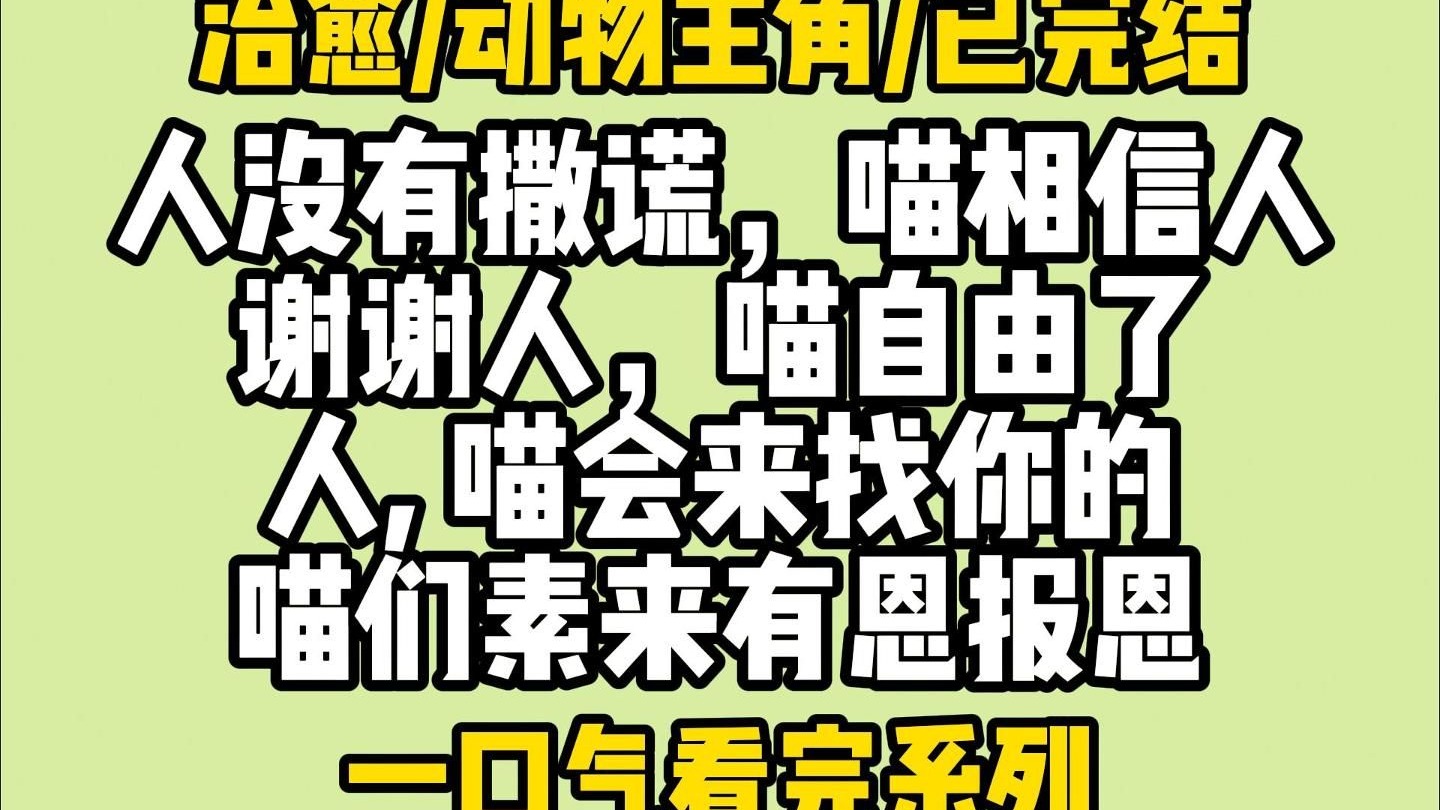 【完】一睁眼就发现自己正站在一个小区门口.「爱宠小区」四个大字,映入眼帘.我不就是上班迟到了吗给我整哪里来了.哔哩哔哩bilibili