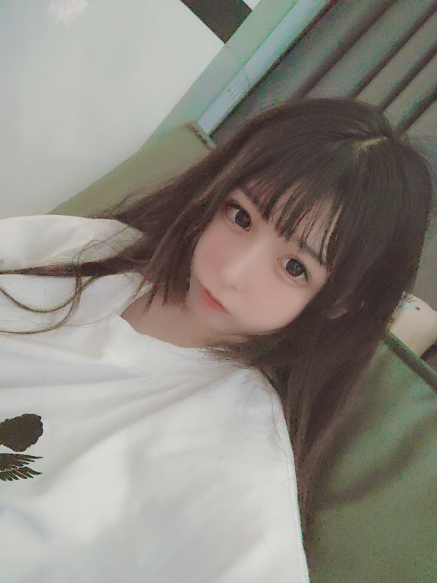 【猫幼cattyo】噩梦(地球转啊转啊每天遇到多少人,想要为你写首诗我