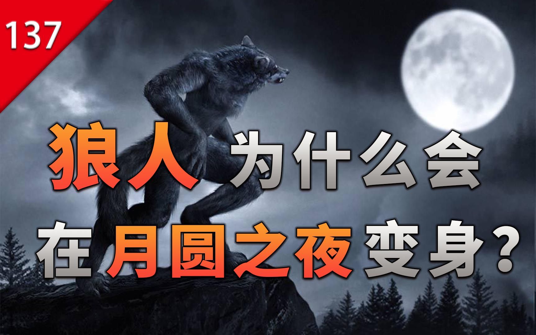 【不止游戏】狼人为什么会在月圆之夜变身?哔哩哔哩bilibili