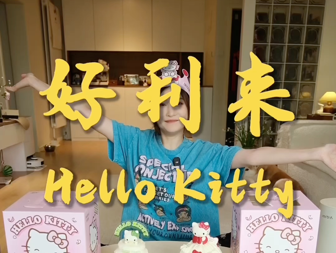 好利来Hello Kitty 生日蛋糕大测评哔哩哔哩bilibili