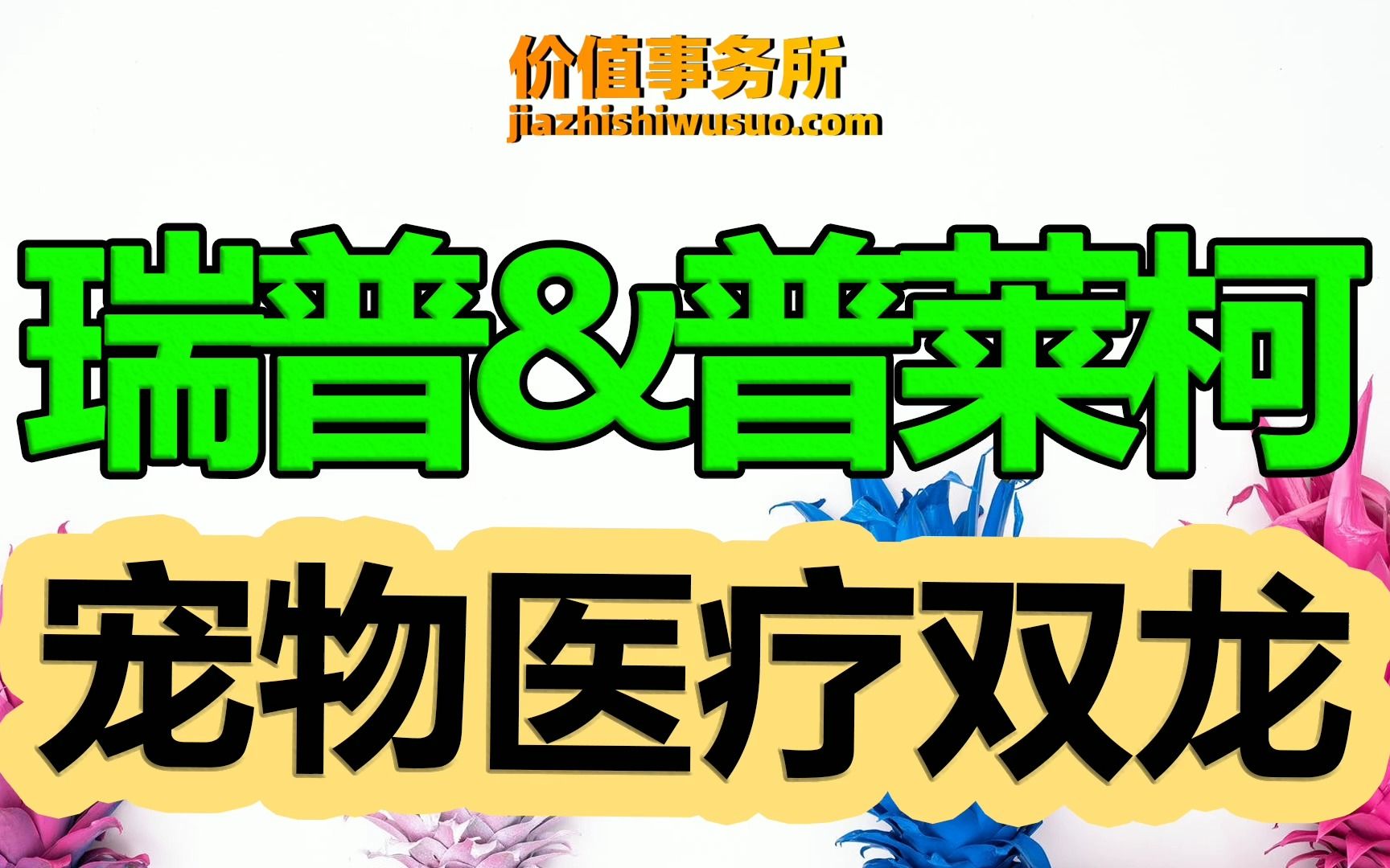 【瑞普生物&普莱柯】宠物医疗双龙,瑞普生物和普莱柯,千亿宠物赛道最值得押注的方向|价值事务所哔哩哔哩bilibili