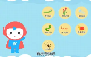 无脊椎动物 哔哩哔哩 Bilibili