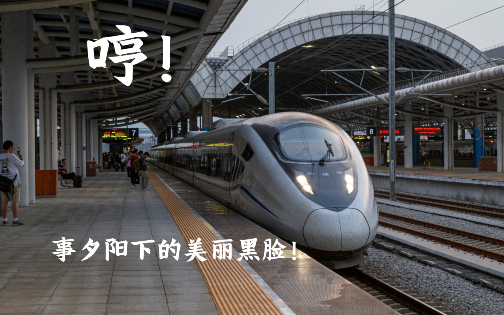 【先进黑脸】CRH2G2425 担当 D3829(昆明南—广州南) 进佛山西站哔哩哔哩bilibili