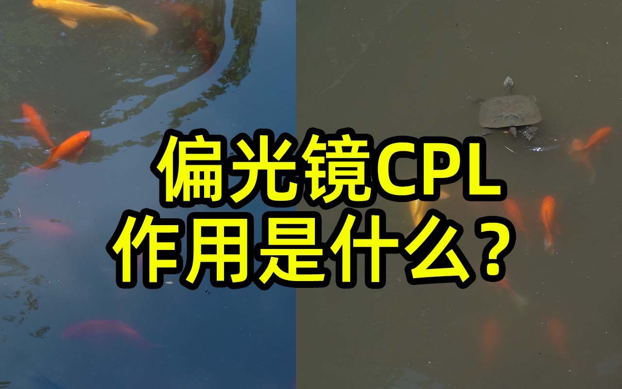 偏光镜cpl的作用到底是什么哔哩哔哩bilibili