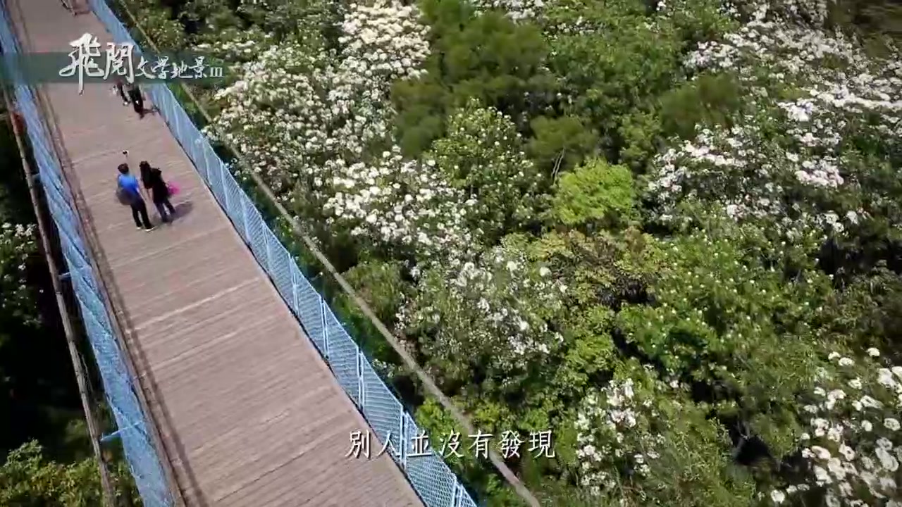 飞阅文学地景ⅢEp07桐花诗 台湾 苗栗哔哩哔哩bilibili