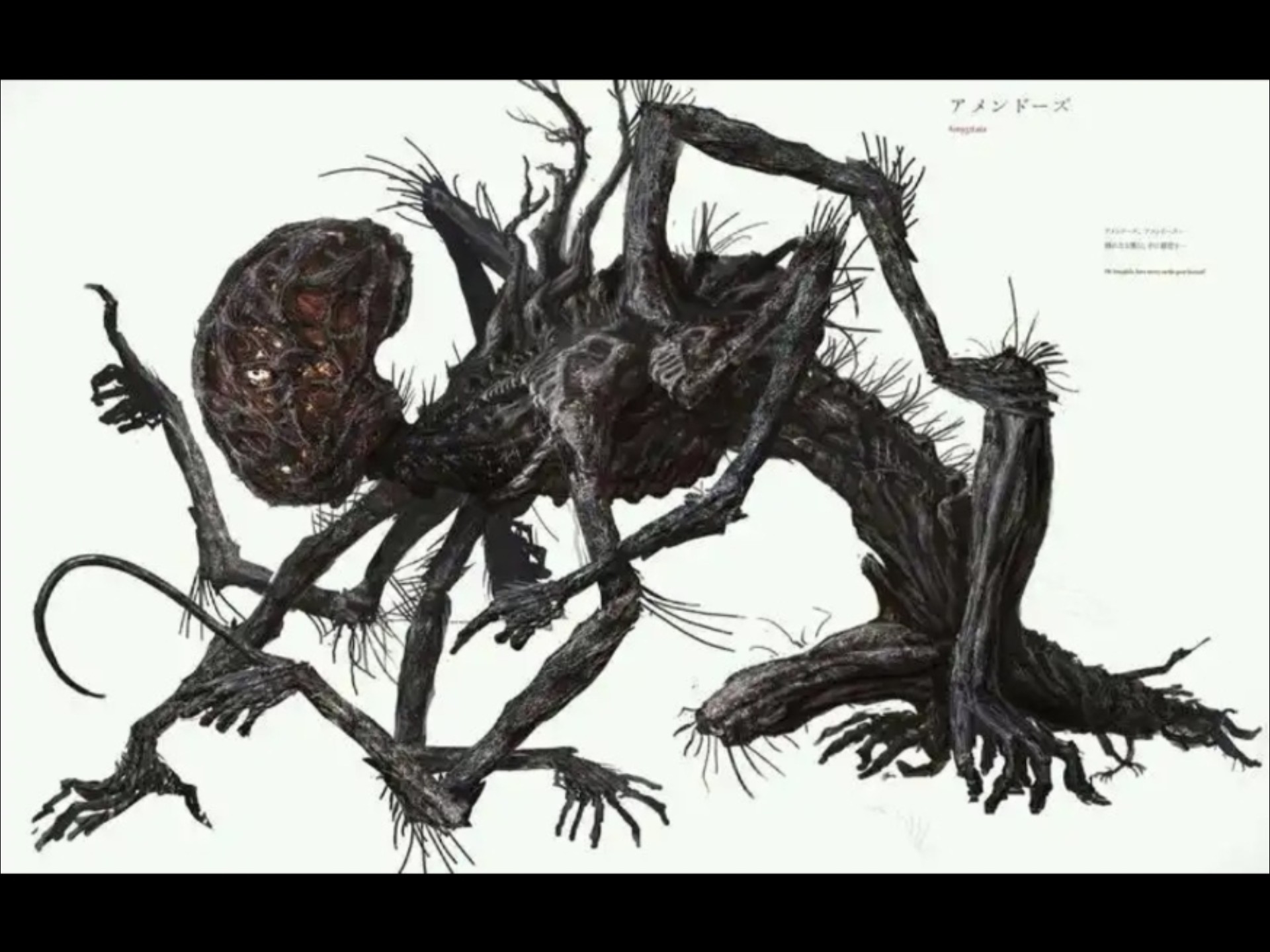 半血迷宫亚米达拉 乱打