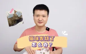 Скачать видео: 猫咪在家发烧了，那么怎么办呢？