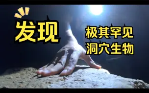 Download Video: 桂北洞穴群第三集——地底的蜻蜓