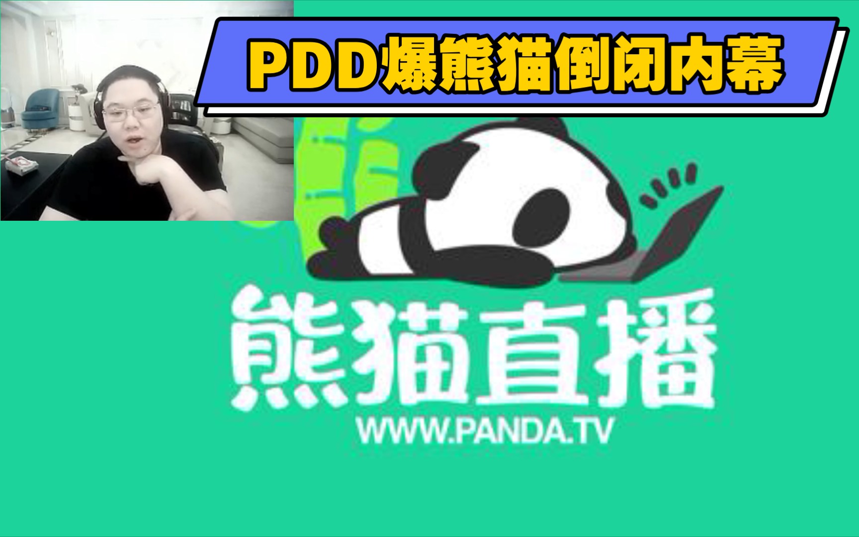 PDD爆熊猫倒闭内幕:管理层难辞其咎哔哩哔哩bilibili