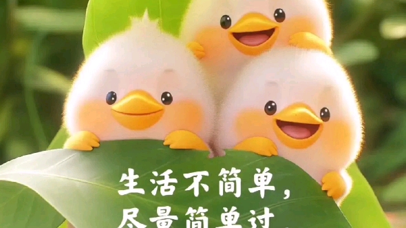 生活不简单,尽量简单过