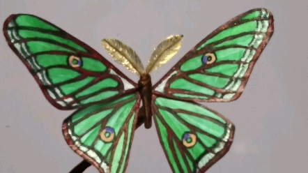 仿真绒花蝴蝶,伊莎贝拉蝶