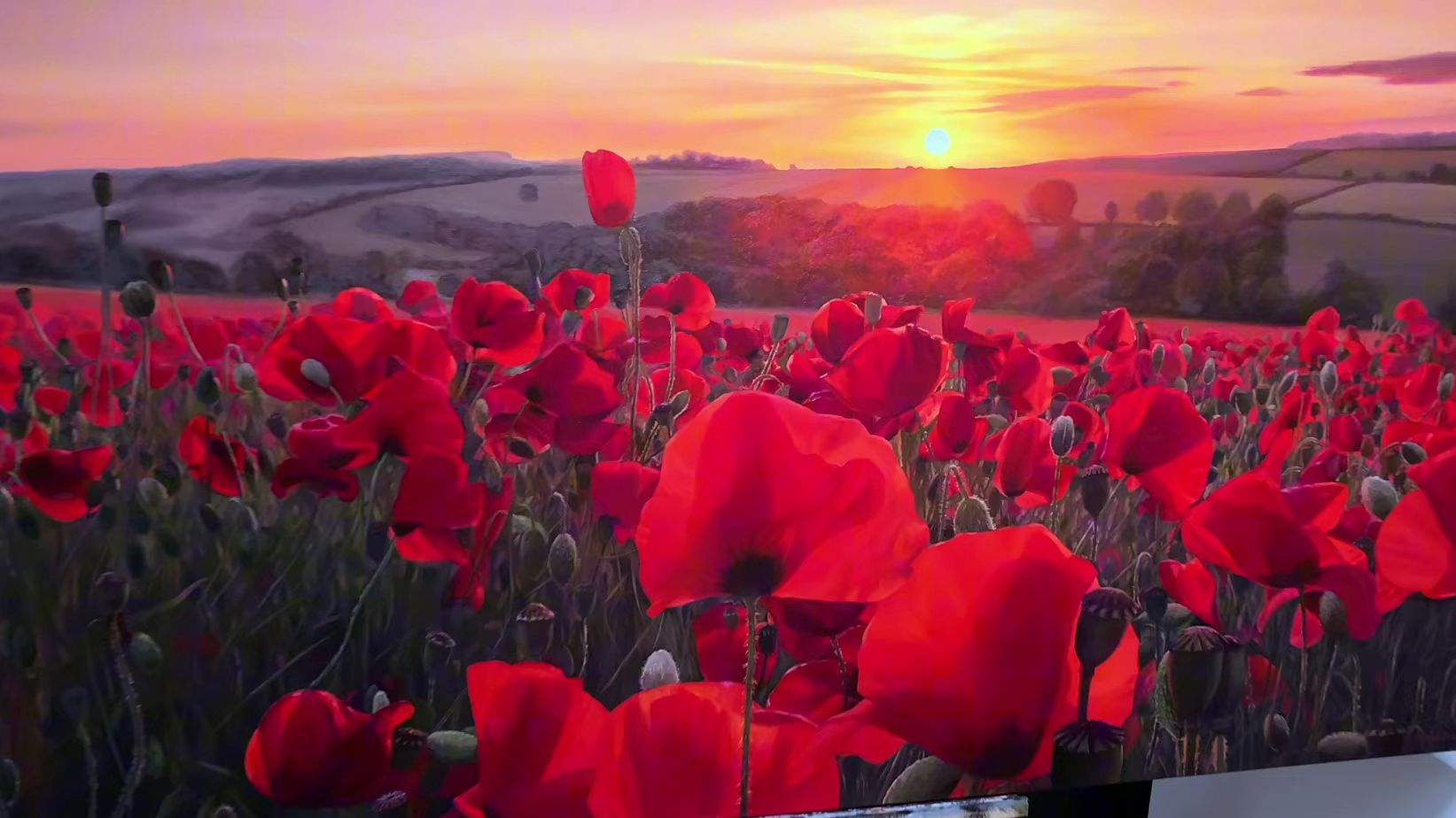 花了4个月, 画了一片日落时的罂粟田
