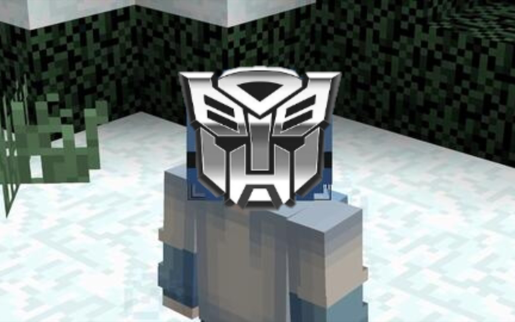 [图]赛博坦女孩的第一个视频！Minecraft Hypixel