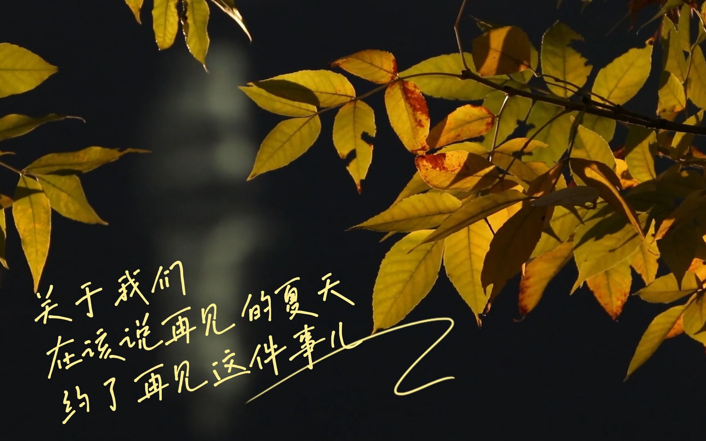 下次再见不说再见 |山西传媒学院辅导员工作室——《关于我们在该说