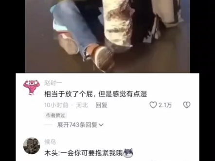 一个眼神,让我感受到了他的无助与恐惧!哔哩哔哩bilibili