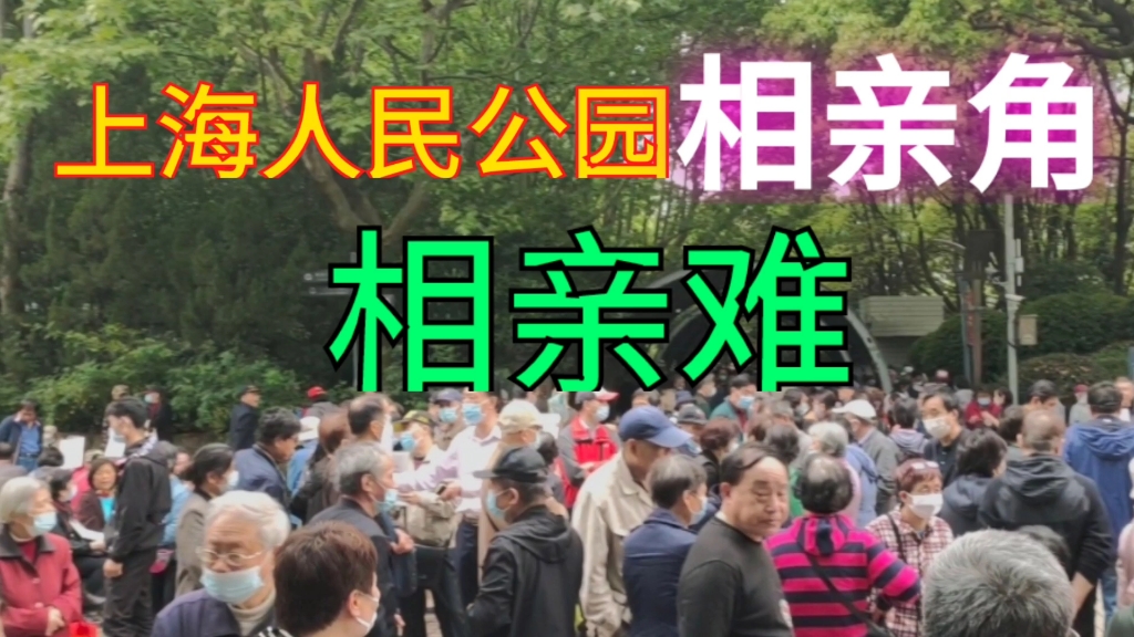 上海人民公园相亲角 , 父母为儿女们相亲非常多 , 相亲太难