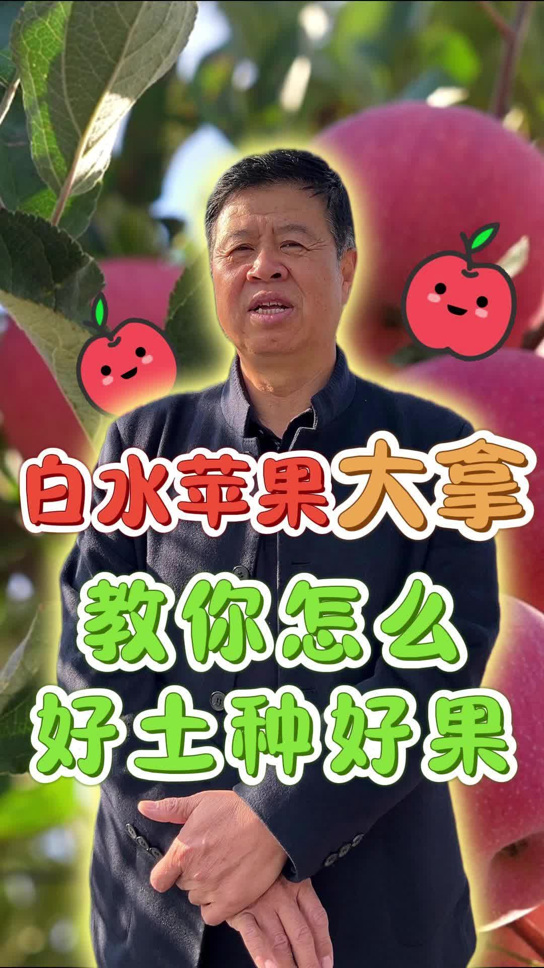 安琪福邦酵母营养肥:白水苹果大拿 教你怎么好土种好果哔哩哔哩bilibili