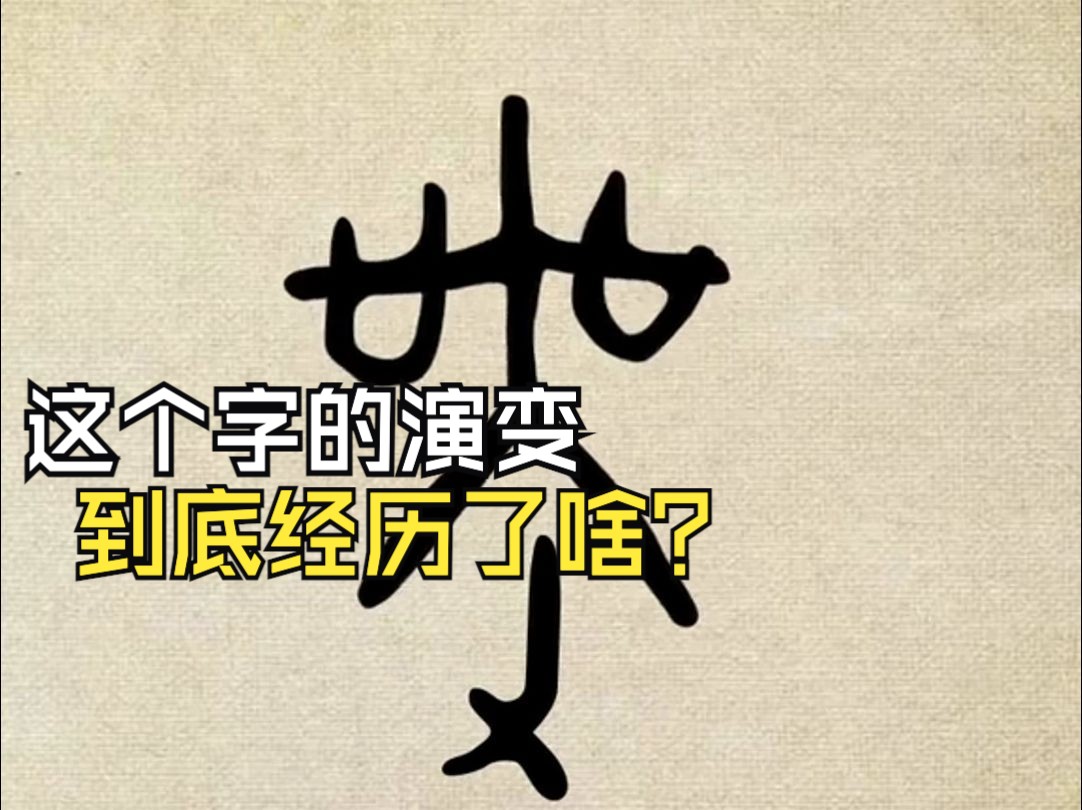 说文解字 的演变哔哩哔哩bilibili