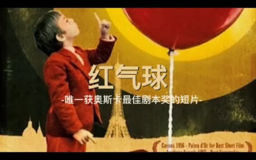 红气球:奥斯卡历史上,唯一获得最佳剧本奖的短片