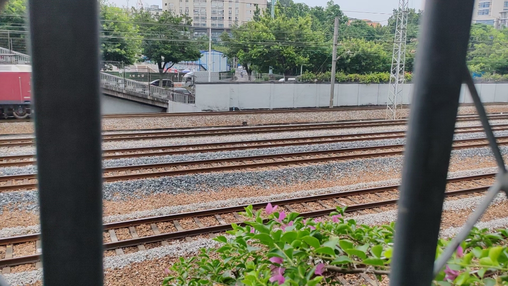 发点以前的存货,红枣拉客车,华师经典机位