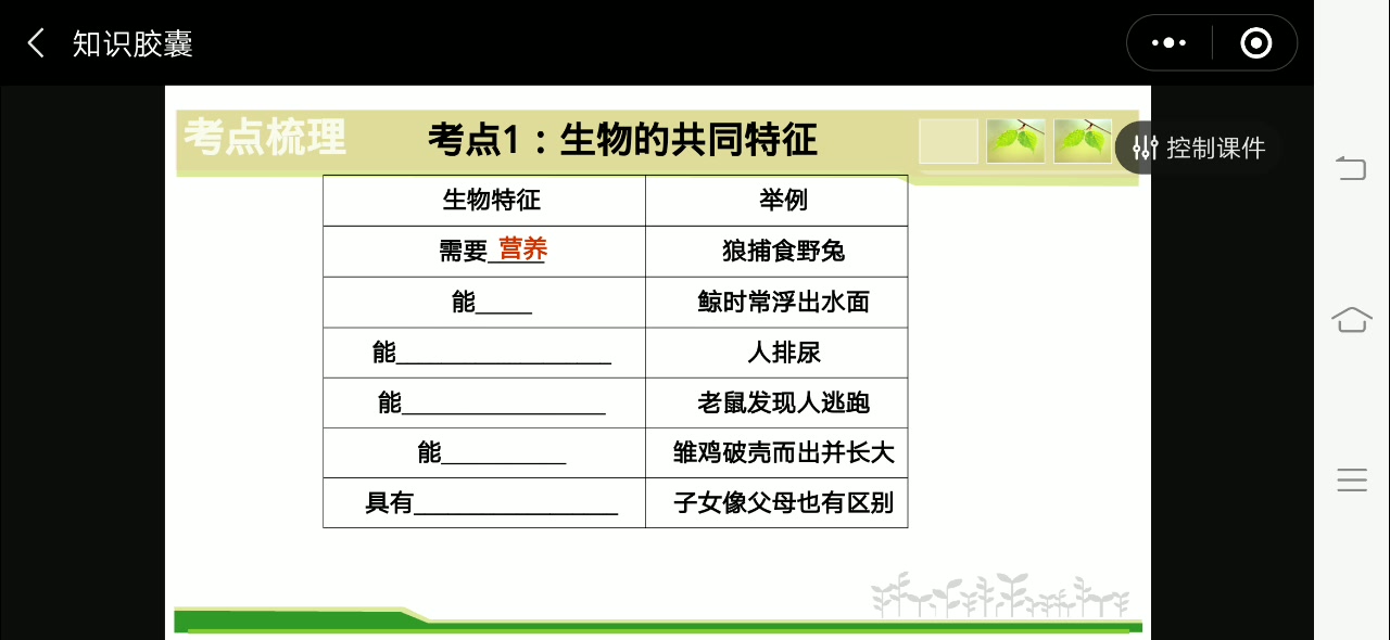 初中生物会考复习1生物与环境哔哩哔哩bilibili