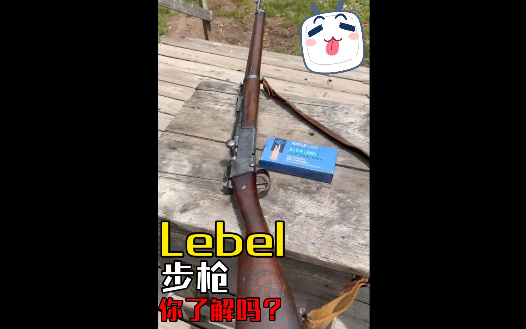 法式传奇,革命性弹药供给:Lebel步枪哔哩哔哩bilibili