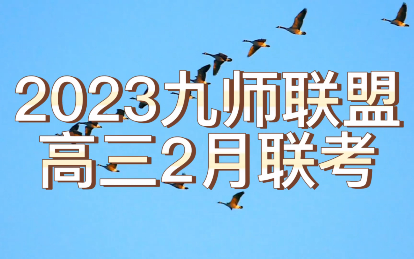 2023江西/河南九师联盟高三2月联考,汇总查看哔哩哔哩bilibili