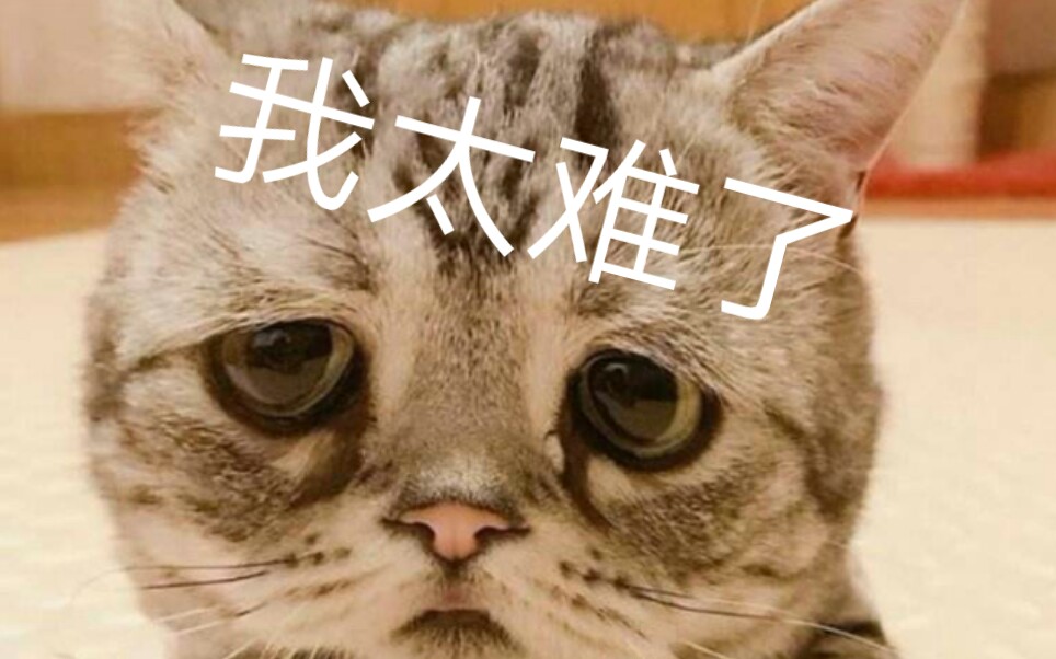 蜈蚣:当时我害怕极了_哔哩哔哩 (゜-゜)つロ 干杯~-bilibili