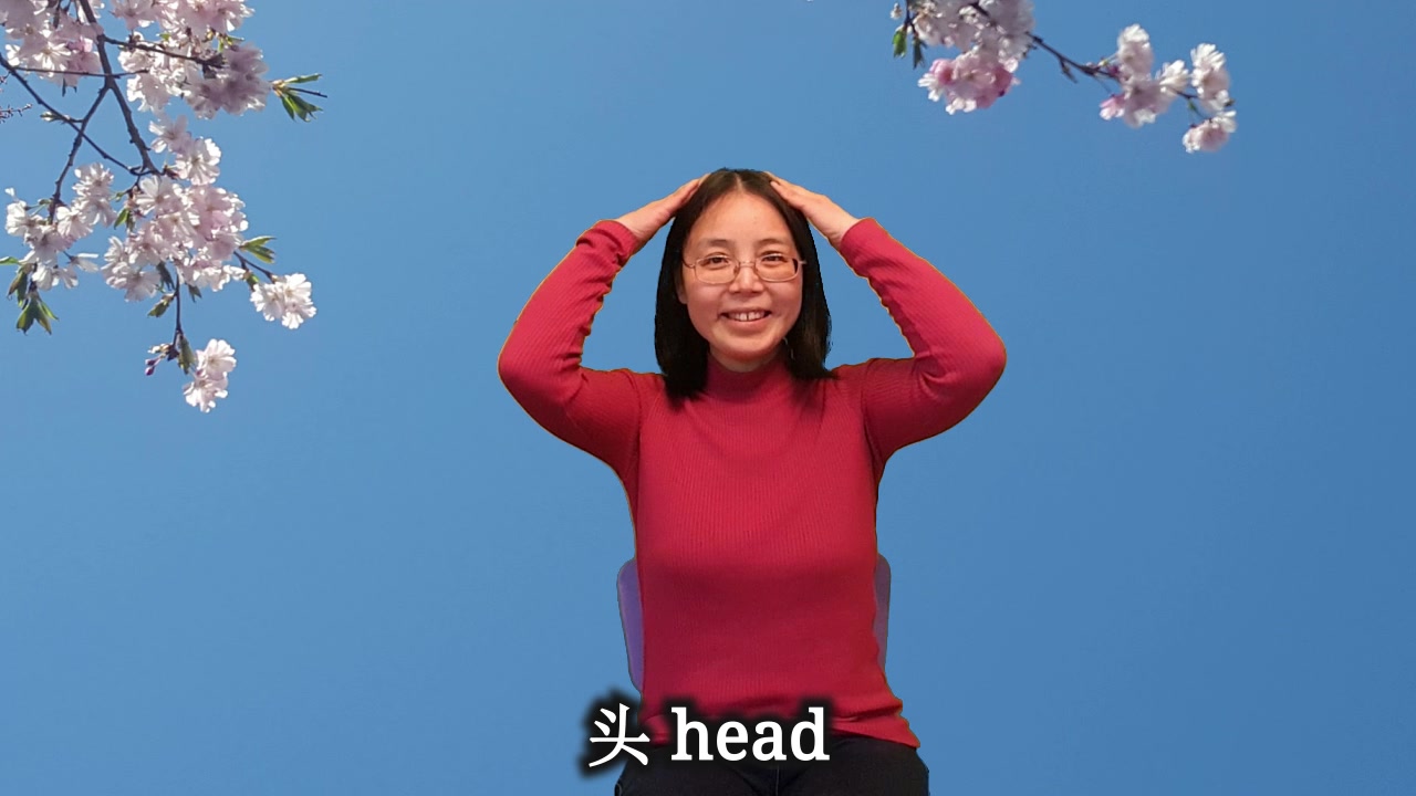 [图]Head, Shoulders, Knees, and Toes 头， 肩，膝盖， 和脚趾头 （鹅妈妈中英文早教）