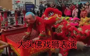 Descargar video: 大头佛舞狮表演全过程，新年看舞狮、（大头佛戏醒狮）