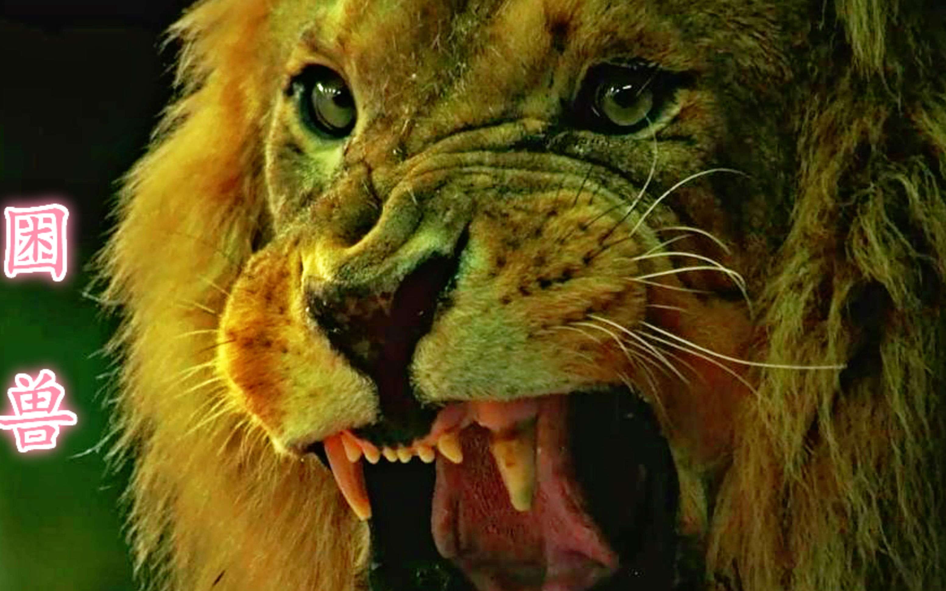 动物的疯狂反击--蚂蚁变异