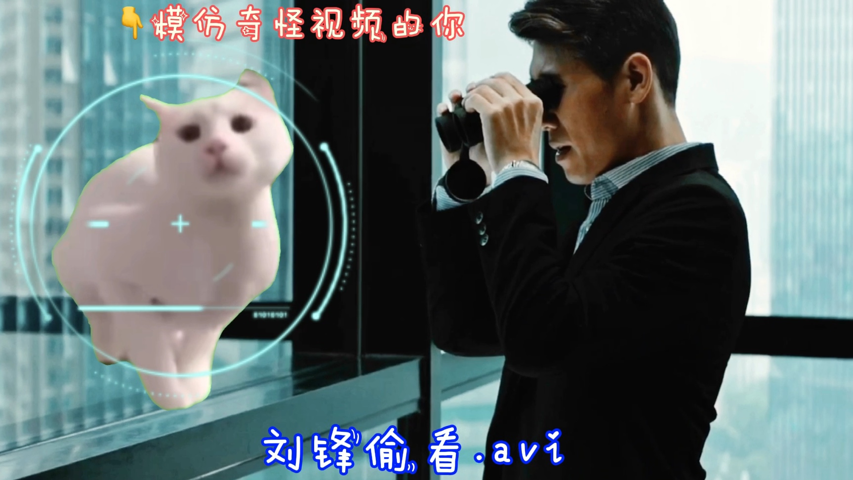 坚如盘石… 但,刘锋“盘”猫meme ?!哔哩哔哩bilibili