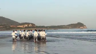 下载视频: 这是在山东的网友拍摄的，她去海边碰到中国海警穿着统一的汉服，跳扇子舞排练《上春山》，节目效果拉满#中国# #中国海警 #